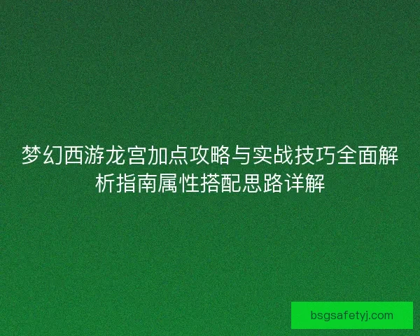 梦幻西游龙宫加点攻略与实战技巧全面解析指南属性搭配思路详解