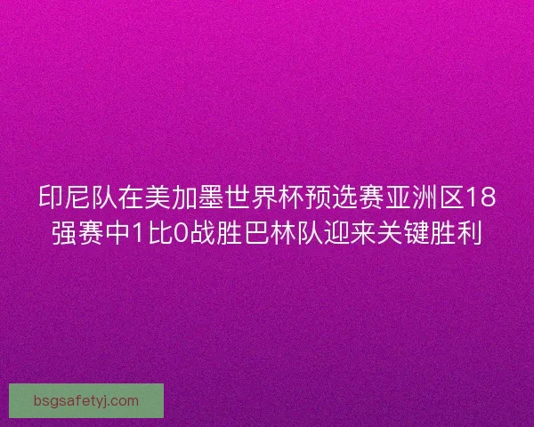 印尼队在美加墨世界杯预选赛亚洲区18强赛中1比0战胜巴林队迎来关键胜利 印尼队在美加墨世界杯预选赛亚洲区18强赛中1比0战胜巴林队迎来关键胜利