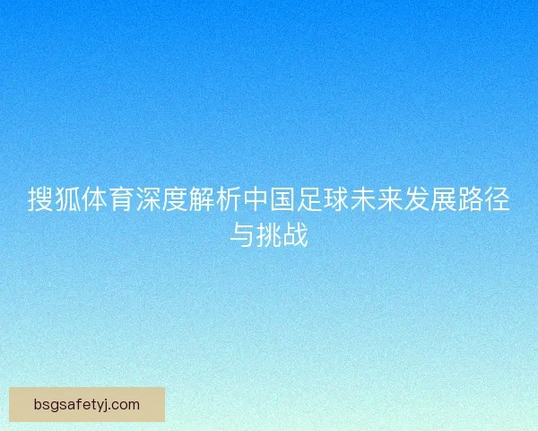 搜狐体育深度解析中国足球未来发展路径与挑战