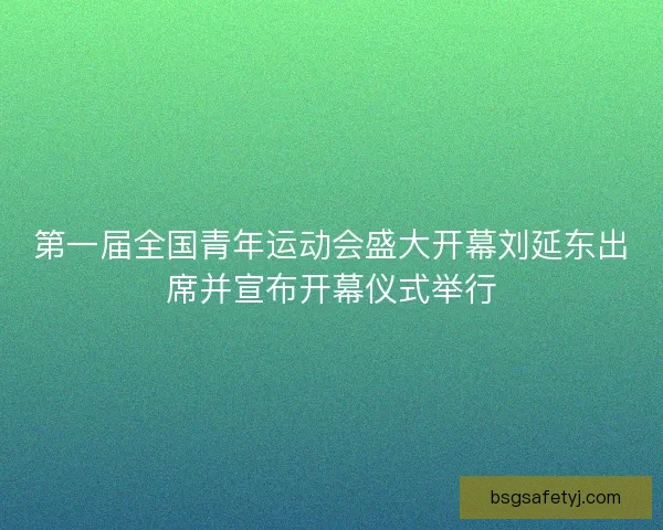 第一届全国青年运动会盛大开幕刘延东出席并宣布开幕仪式举行